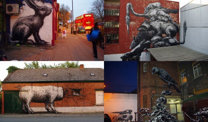“Животный” стрит-арт от бельгийского граффитчика ROA (48 фото)