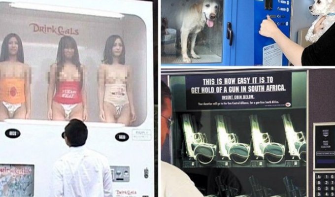 Проститутки, жуки и лобстеры: 20 сумасшедших автоматов