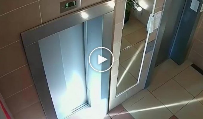 В Москве парень спас пса, повисшего на зажатом в лифте поводке