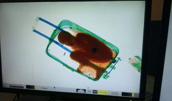 19-летняя девушка спрятала ребенка в чемодан, чтобы незаконно переправить его в Испанию (4 фото)