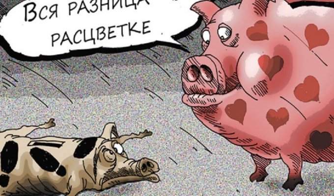 Данные о запредельных зарплатах чиновников взбудоражили россиян (1 фото)