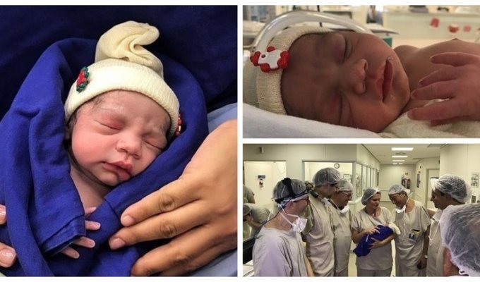 В Бразилии родился ребенок из донорской матки умершей женщины (5 фото)