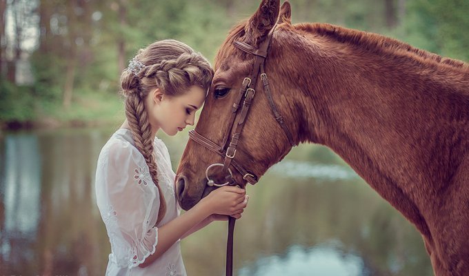 30 идеальных фотографий лошадей – грация, краса и сила (30 фото)