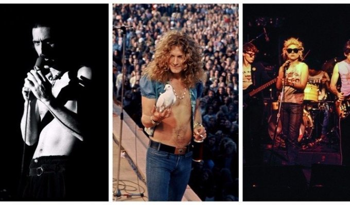 Редкие рок-н-ролльные фотографии из личных архивов музыкальных фанатов (23 фото)