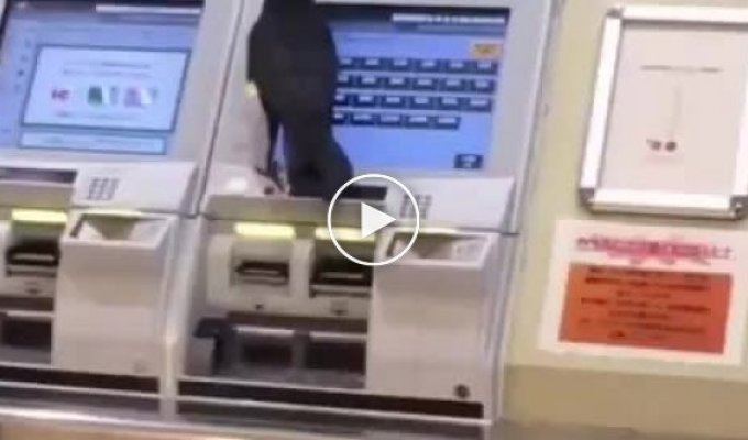 Ворона пытается оплатить билет чужой банковской картой
