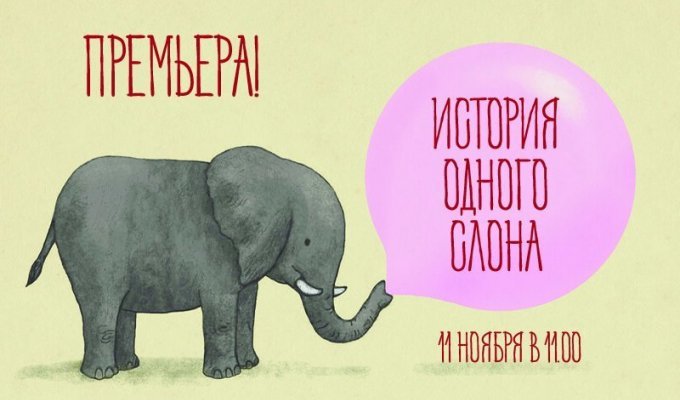 История о слоне (2 фото)