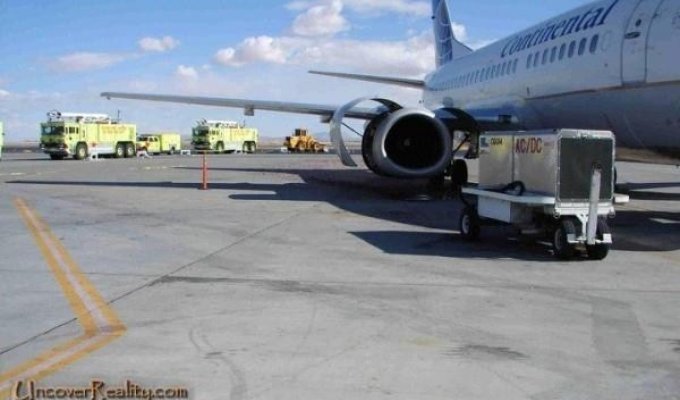 Ужасное фото. Механик не соблюдал правила безопасности возле самолета (8 фото)