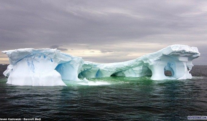 Антарктика (5 фотографий)