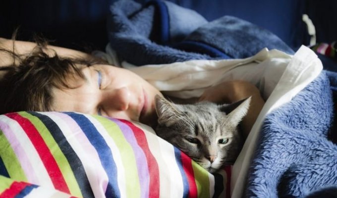 Если кошка любит спать в вашей постели - вот что это значит (3 фото)