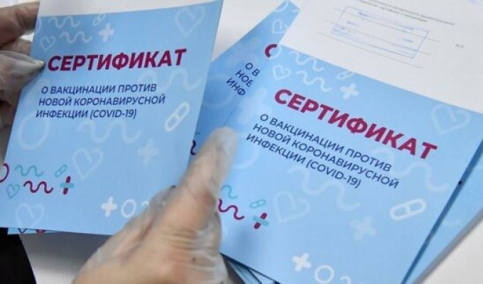 В даркнет слили базу данных россиян, купивших фейковые сертификаты о вакцинации (2 фото)