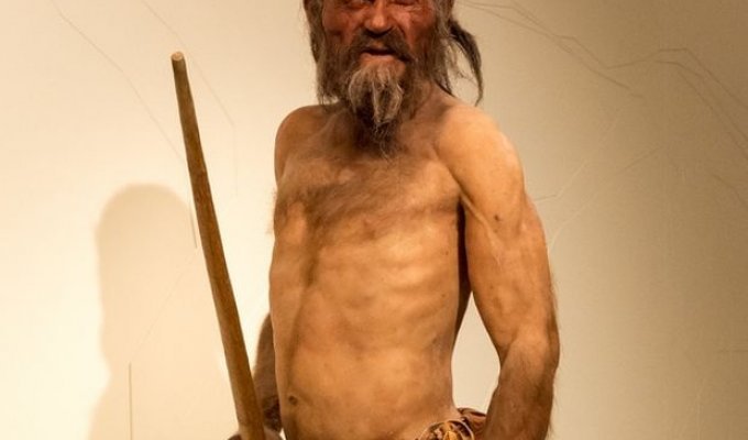 Ученые выяснили, из чего состояла последняя трапеза древнего человека (5 фото)