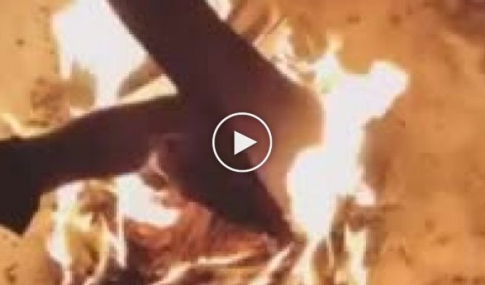 Сожгли российский флаг и выложили видео в Инстаграм
