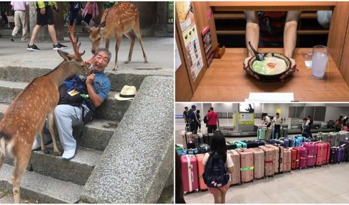 18 фото из повседневной жизни в Японии. Некоторые вещи действительно сложно понять (17 фото)