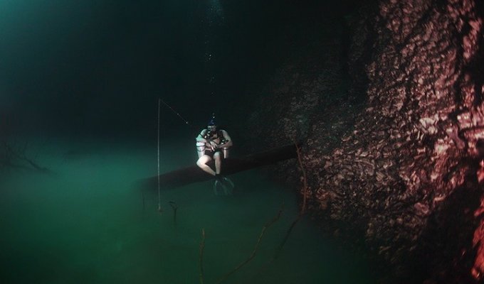Скрытая от глаз подводная река, протекающая вдоль океанского дна в Мексике (8 фото)
