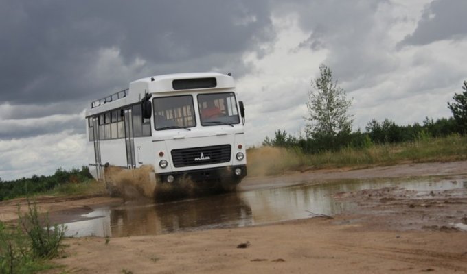 МАЗ создал автобус-внедорожник для «чёрной» Африки (3 фото)