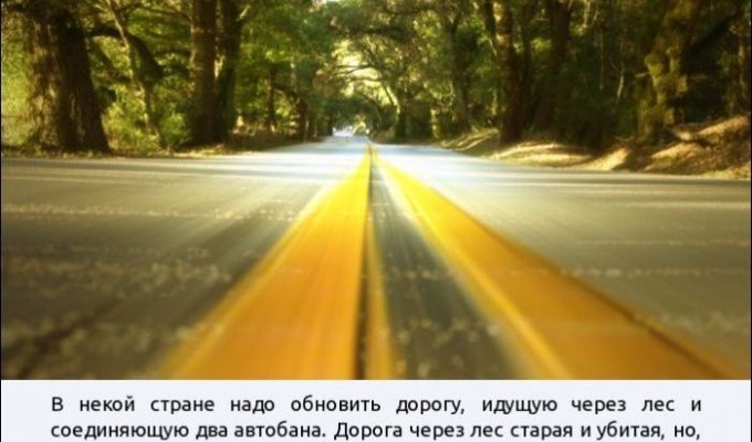 Дорога через лес (1 картинка)