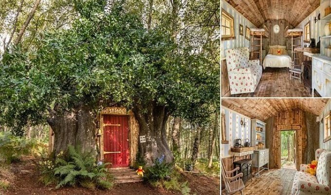 Компания Disney построила дом Винни-Пуха в английском лесу (13 фото + 1 видео)