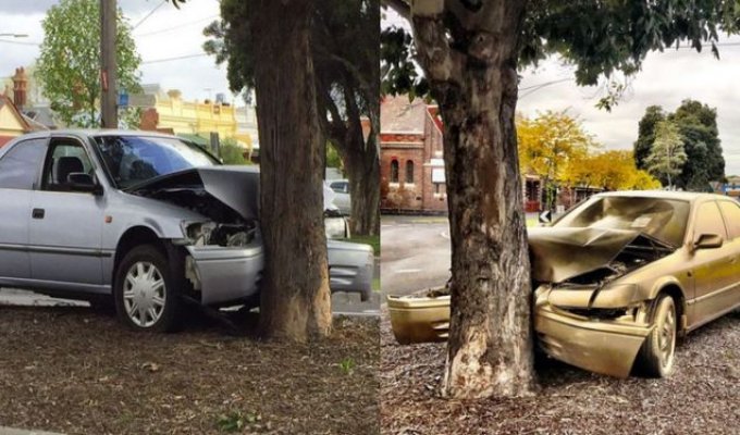 В Австралии врезавшийся в дерево автомобиль превратили в арт-объект (4 фото)