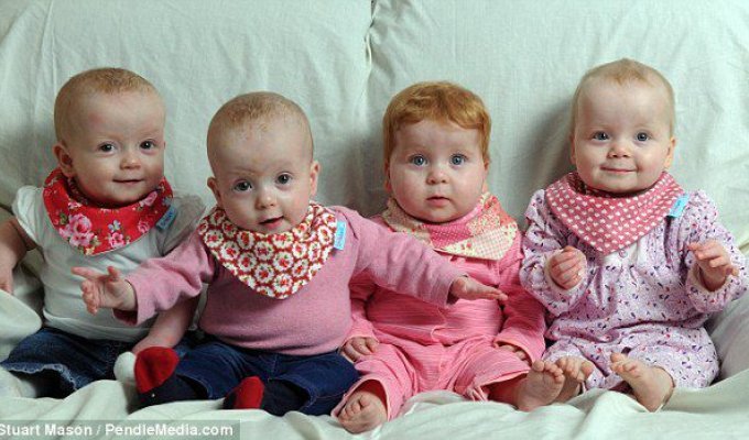 Уникальным сестрам-четверняшкам исполнился годик (11 фото)