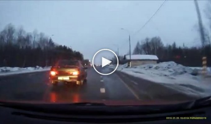 Водитель едва не сбил детей на пешеходном переходе в Архангельской области