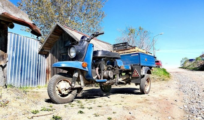 Трехколесный грузовой мотороллер "Муравей" 2M-02 (17 фото)