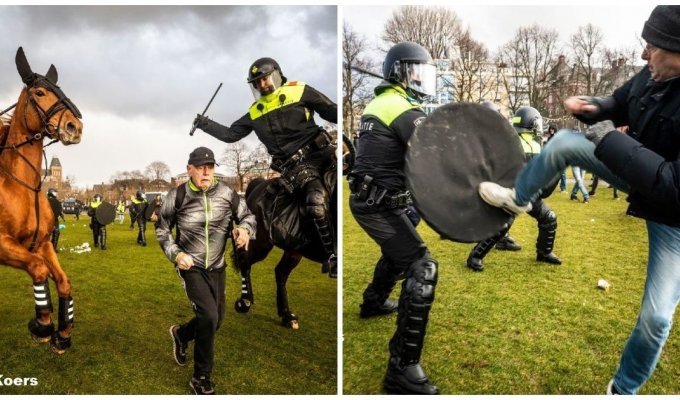 Водометы, собаки и кавалерия: в Нидерландах полиция жестко разогнала акцию протеста (9 фото + 1 видео)