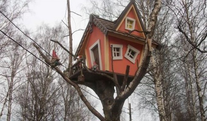 Дом на дереве (6 Фото)