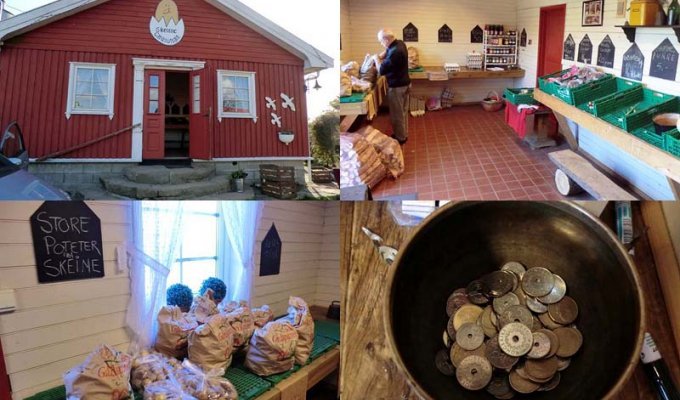 Необычный магазин в Норвегии (11 фото)