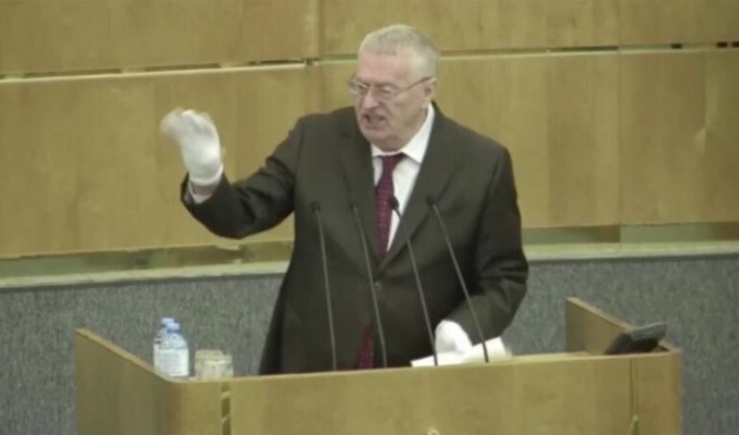 «Ущербности» суд не увидел и отклонил иск лидера ЛДПР к обидчикам (3 фото)