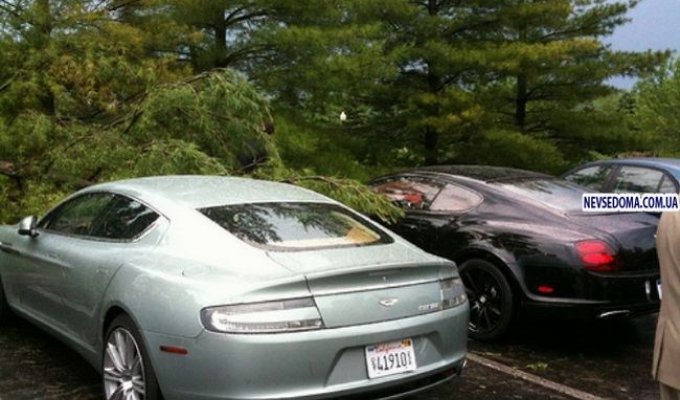 Дерево упало на Aston Martin Rapide и Bentley Continental (17 фото)