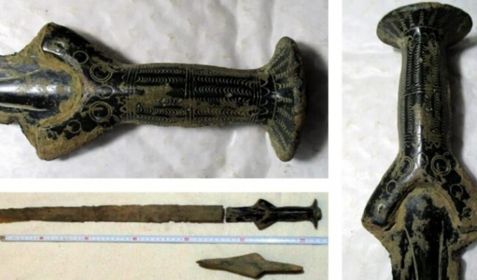 Чешский грибник нашел меч и топор возрастом 3300 лет (2 фото)