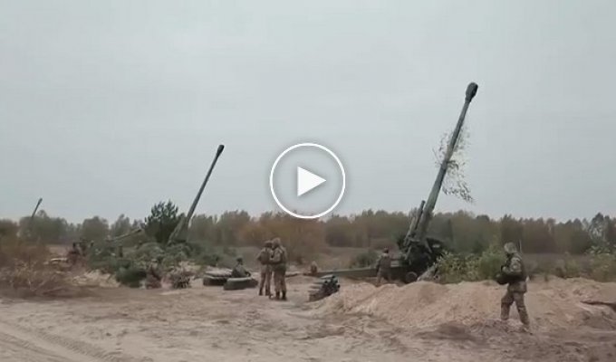Украинская артиллерия ВСУ на учениях