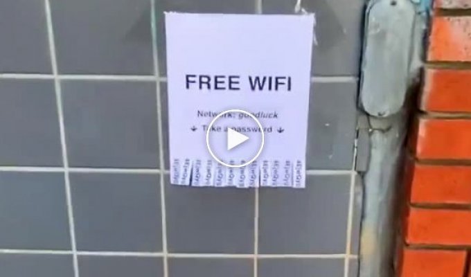 Бесплатный Wi-Fi с очень длинным подвохом