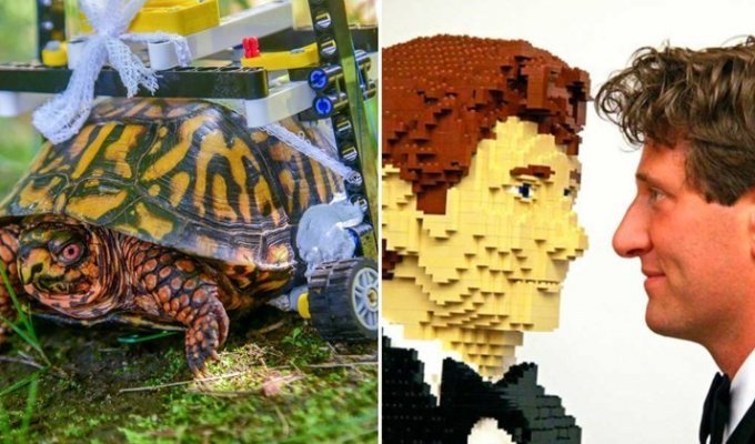 10 интересных фактов о конструкторах Lego, которые вас точно удивят (11 фото)