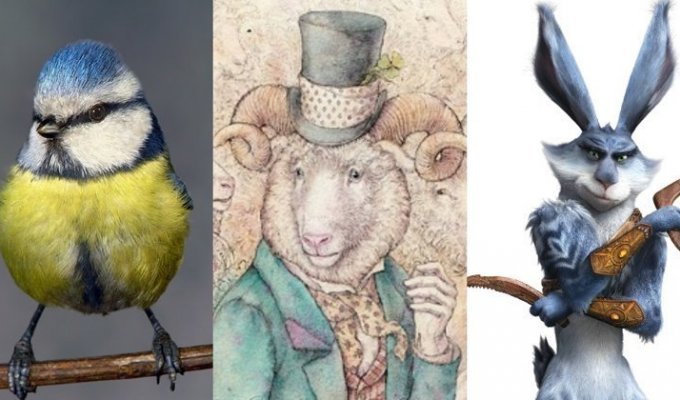 Смелые зайцы и умные овцы: мифы и парадоксы животного мира (8 фото + 4 видео)