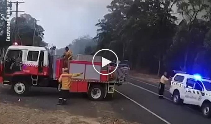 Насколько быстро распространяются пожары в лесах