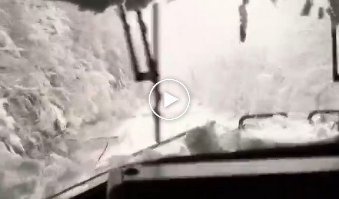 Грузовой поезд в Канаде продолжает движение по заваленным деревьями путям после снежной бури