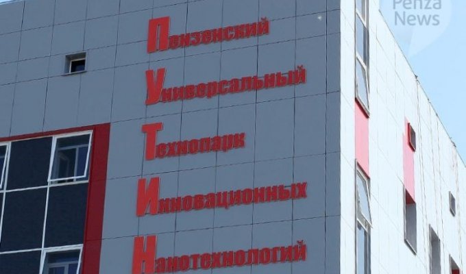 Подхалимство ценой в миллиард рублей (5 фото)
