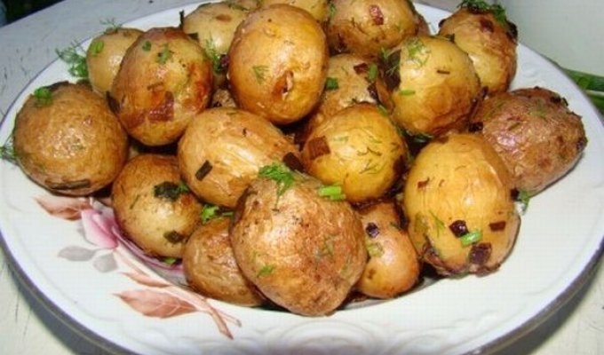 Немного о картошке (11 фото)