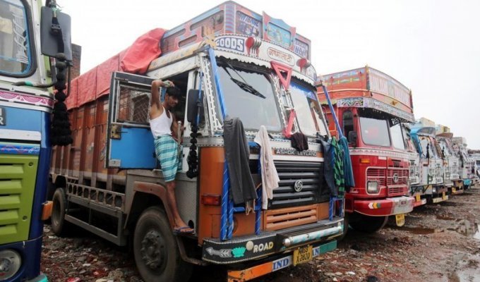 Дешевый дизель, бесплатные дороги: 9-миллионная забастовка водителей грузовиков завершилась в Индии (4 фото)