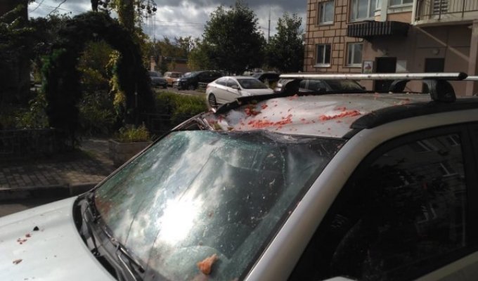 В Подольске на крышу автомобиля с 14 этажа сбросили арбуз (4 фото + видео)