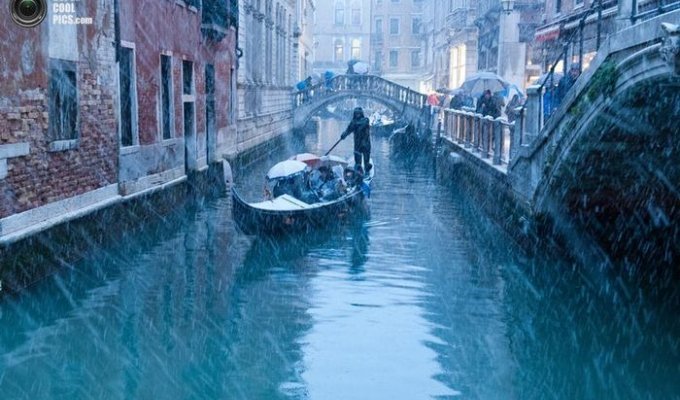 Снегопад в Венеции (11 фото)