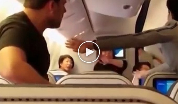 Двое пассажиров подрались по время рейса Токио — Лос-Анджелес