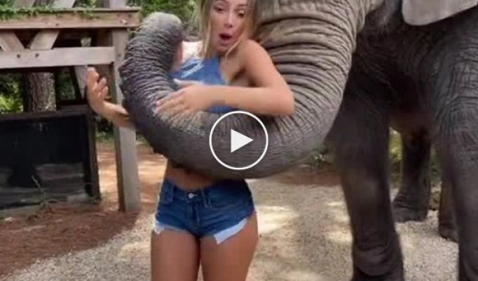 Встреча со слоном приняла неожиданный поворот