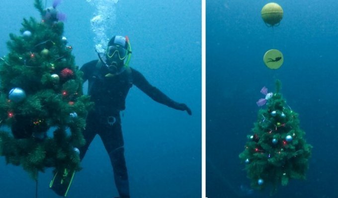 Подводную новогоднюю елку поставили под Казанью (5 фото + 1 видео)