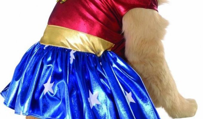15 костюмов, в которые вы захотите нарядить свою собаку, даже если ее у вас нет (15 фото)