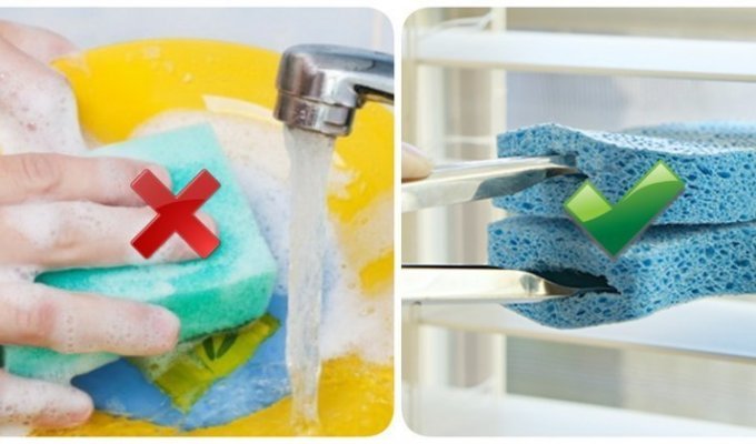 13 нестандартных способов использования губки для мытья посуды, о которых многие не подозревают (14 фото)