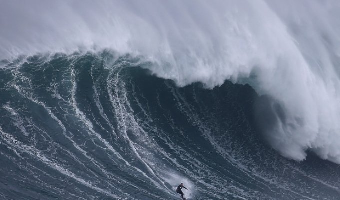 Гигантские волны в Португалии привлекли серферов (6 фото)