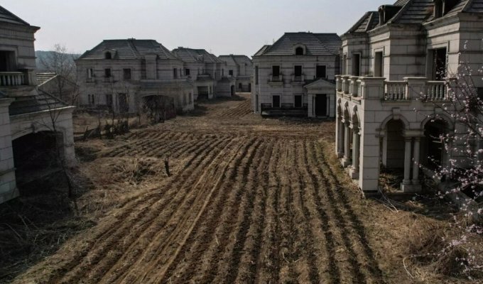 Китайский город-призрак с особняками, в которых теперь живут коровы (4 фото)
