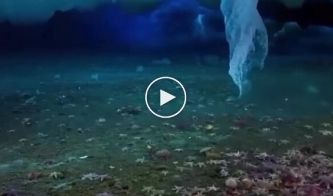 Палец смерти - самая необычная форма морского льда